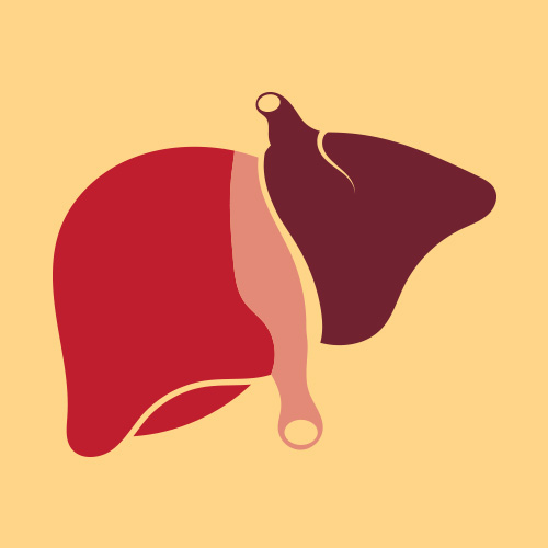 Zinc's role in fighting liver disease