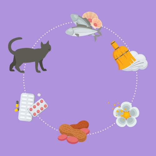 Zinc for Allergy Relief