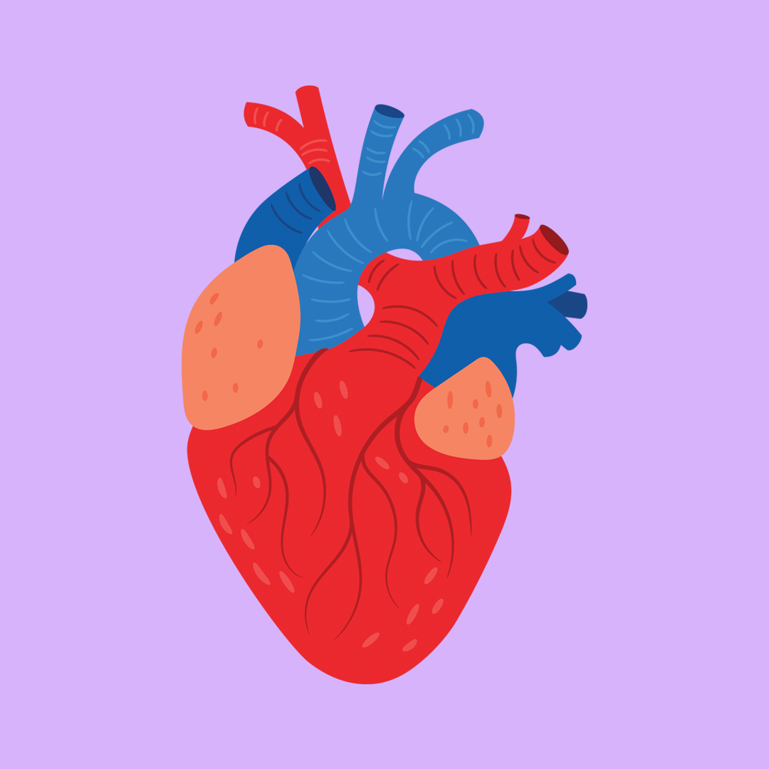 zinc for heart health