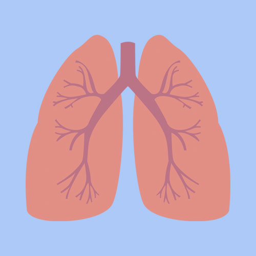 zinc and respiratory infections