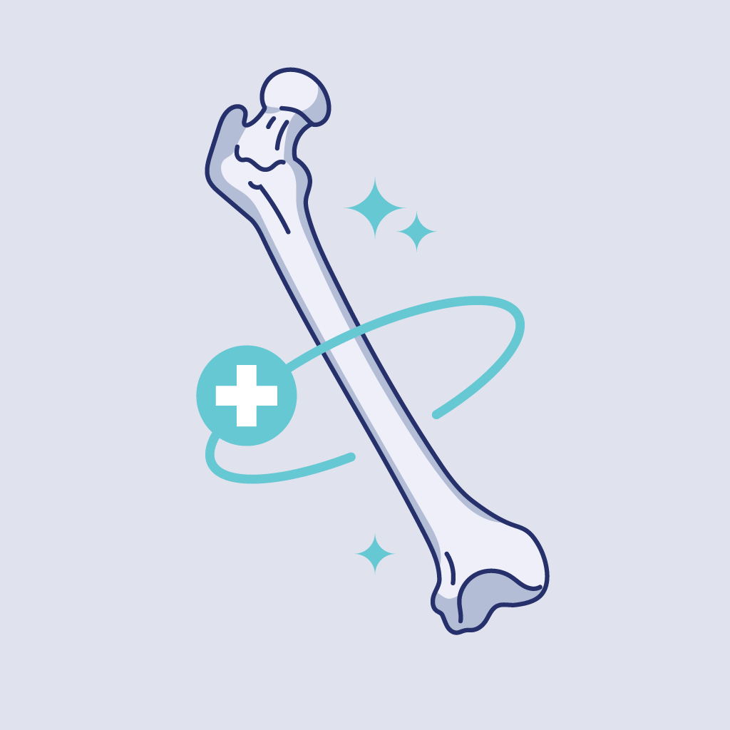 The importance of zinc for healthy bones